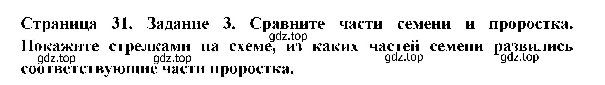 Решение номер 3 (страница 31) гдз по биологии 6 класс Пасечник, Суматохин, рабочая тетрадь