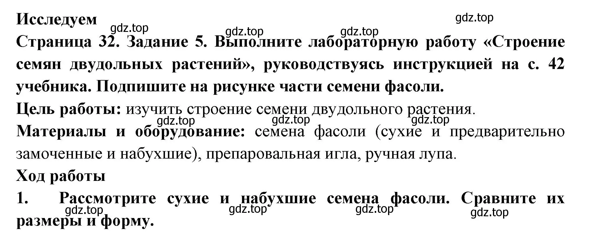 Решение номер 5 (страница 32) гдз по биологии 6 класс Пасечник, Суматохин, рабочая тетрадь