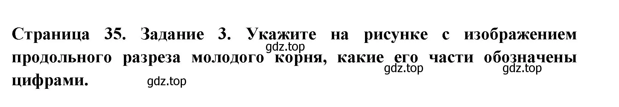 Решение номер 3 (страница 35) гдз по биологии 6 класс Пасечник, Суматохин, рабочая тетрадь