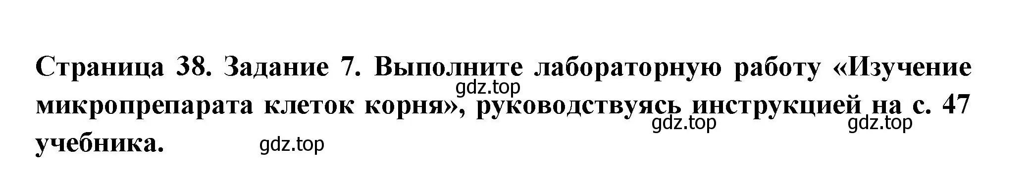 Решение номер 7 (страница 38) гдз по биологии 6 класс Пасечник, Суматохин, рабочая тетрадь