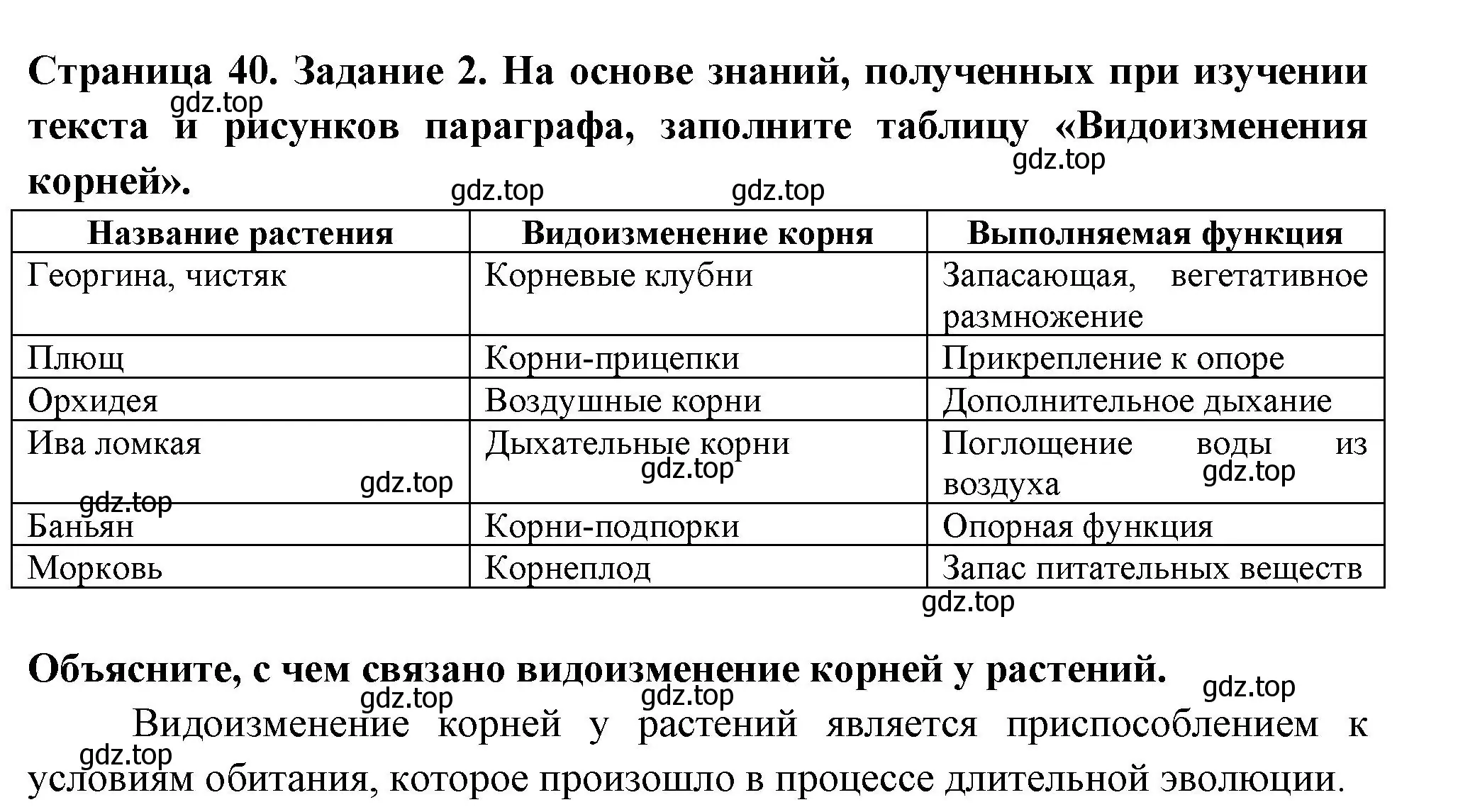 Решение номер 2 (страница 40) гдз по биологии 6 класс Пасечник, Суматохин, рабочая тетрадь