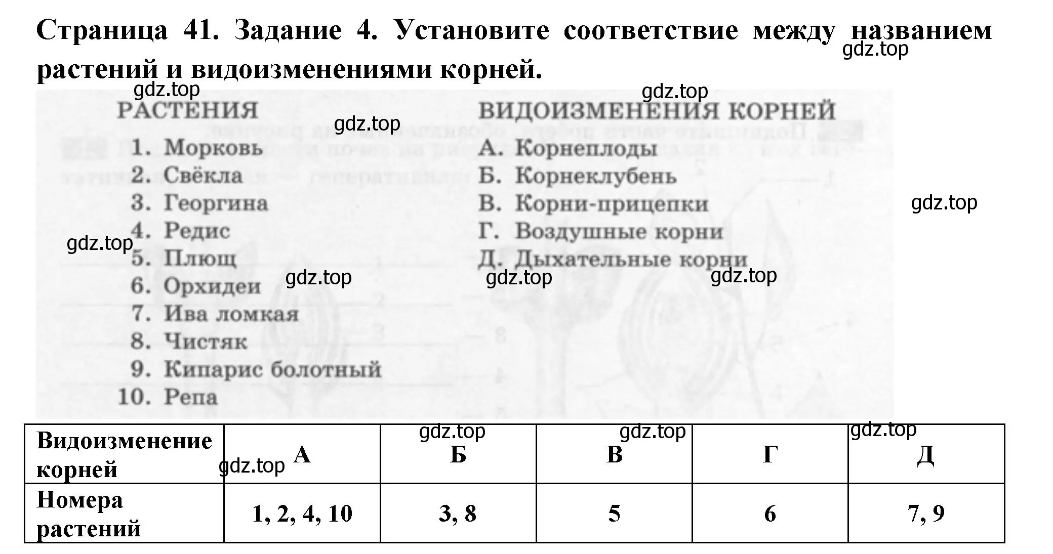 Решение номер 4 (страница 41) гдз по биологии 6 класс Пасечник, Суматохин, рабочая тетрадь