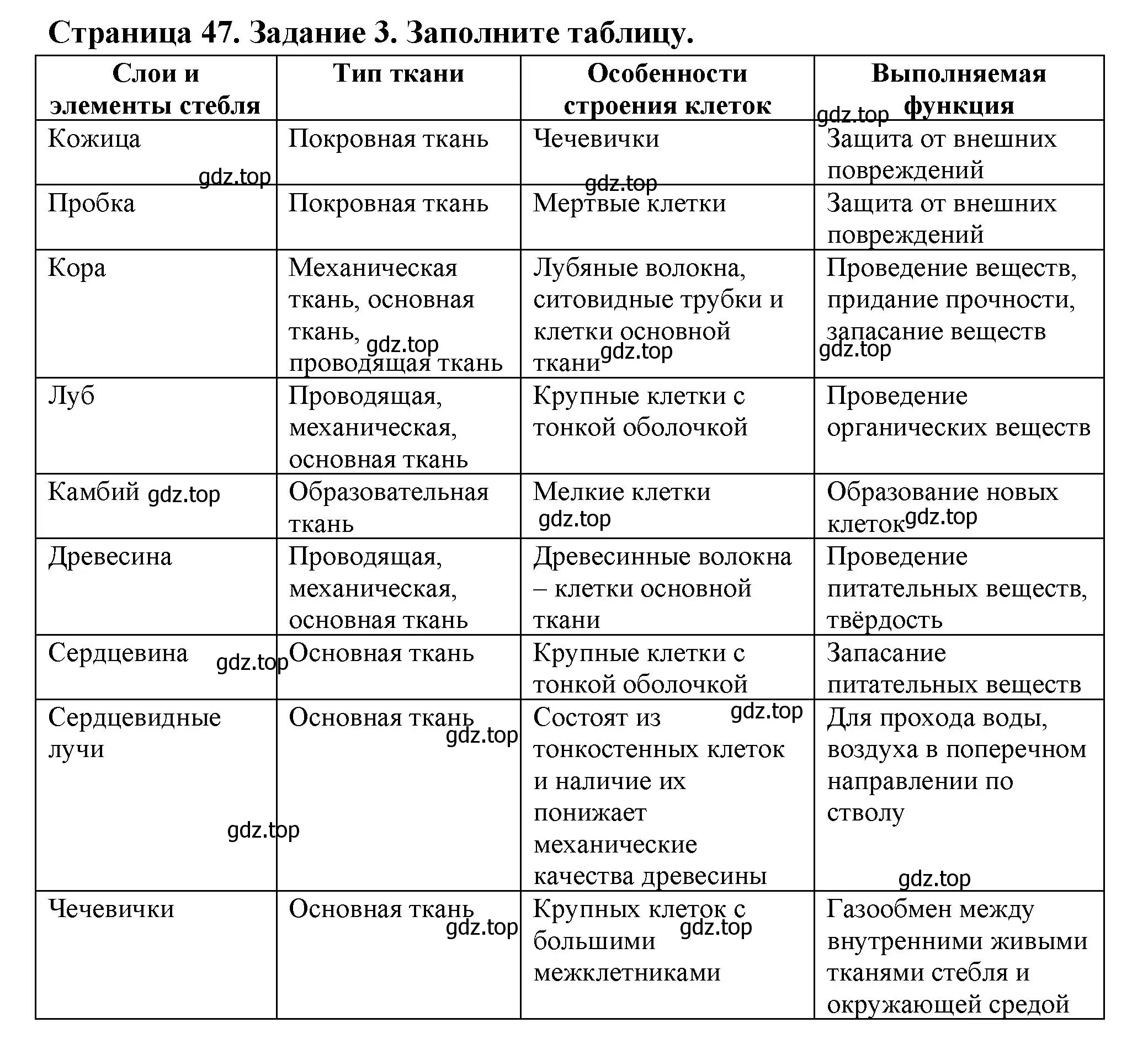 Решение номер 3 (страница 47) гдз по биологии 6 класс Пасечник, Суматохин, рабочая тетрадь