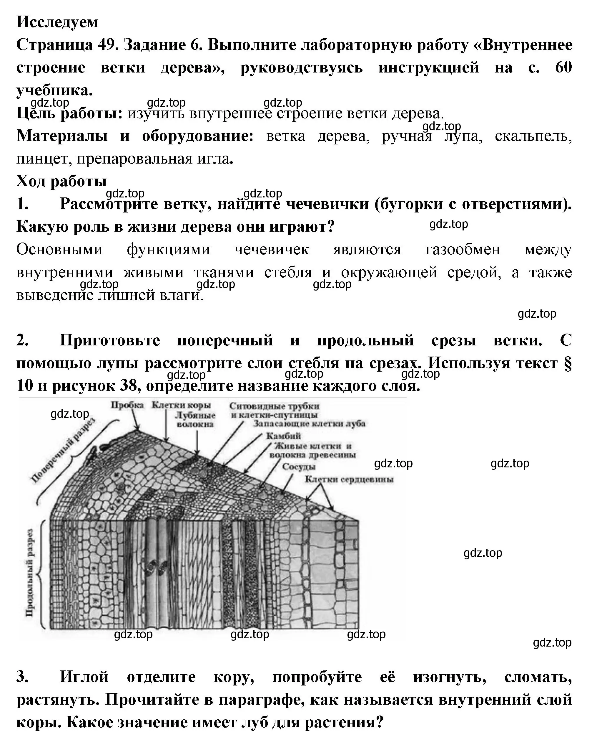 Решение номер 6 (страница 49) гдз по биологии 6 класс Пасечник, Суматохин, рабочая тетрадь