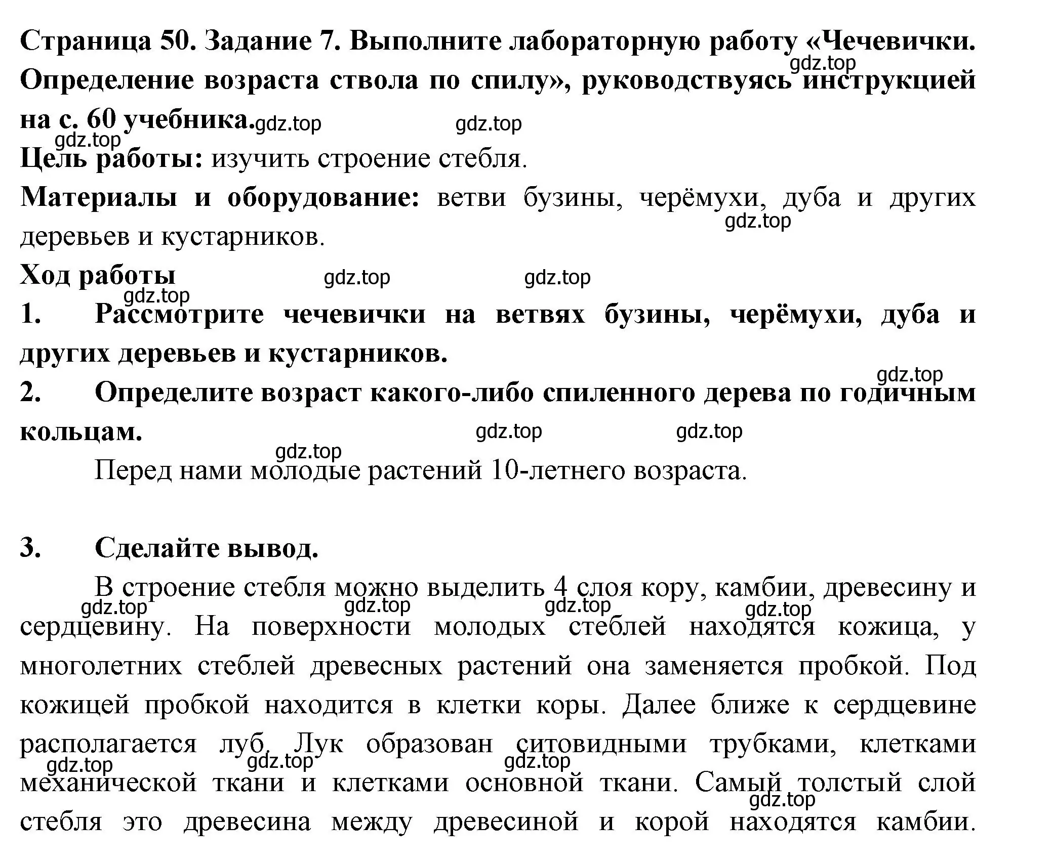 Решение номер 7 (страница 50) гдз по биологии 6 класс Пасечник, Суматохин, рабочая тетрадь