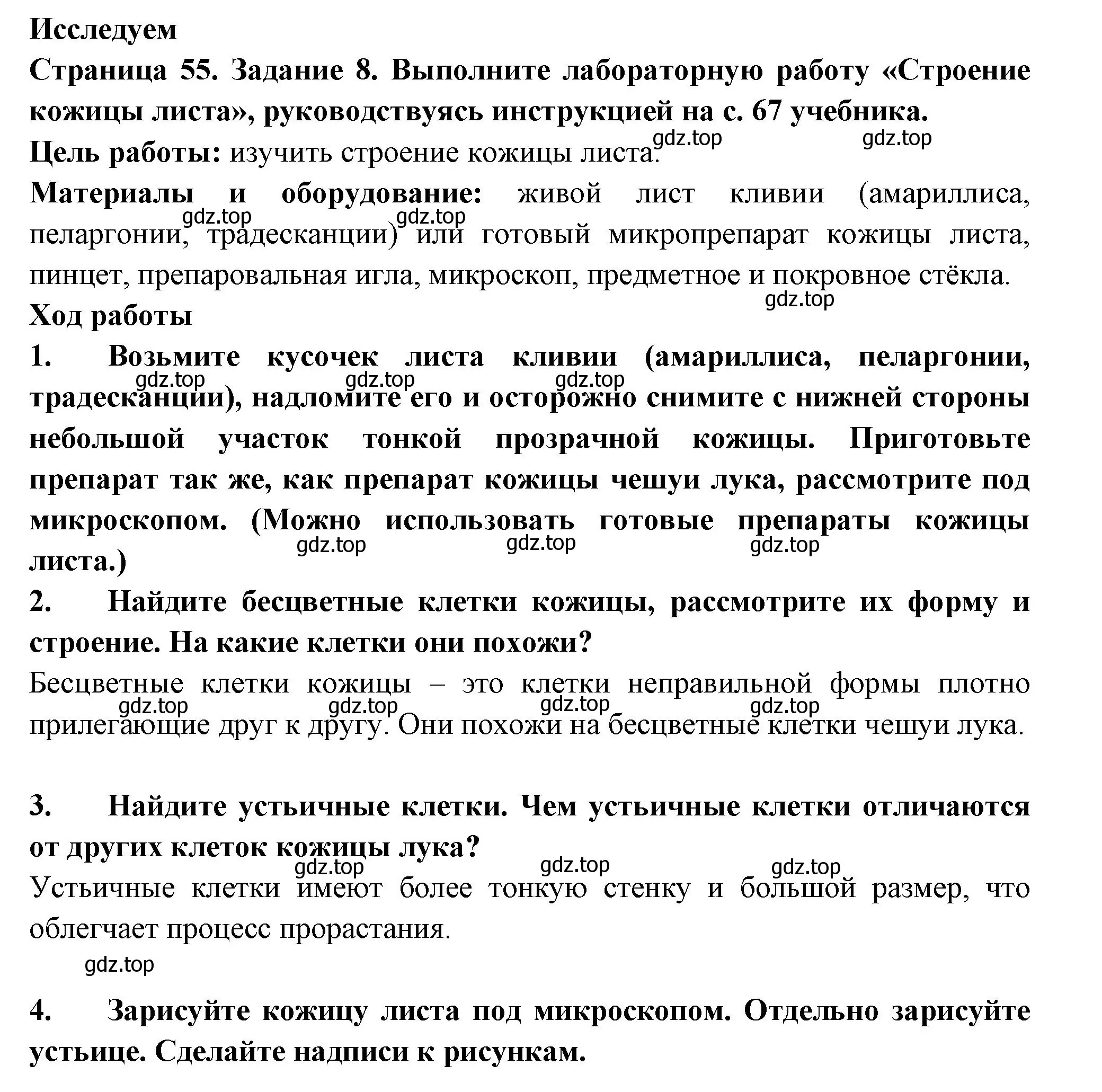 Решение номер 8 (страница 55) гдз по биологии 6 класс Пасечник, Суматохин, рабочая тетрадь