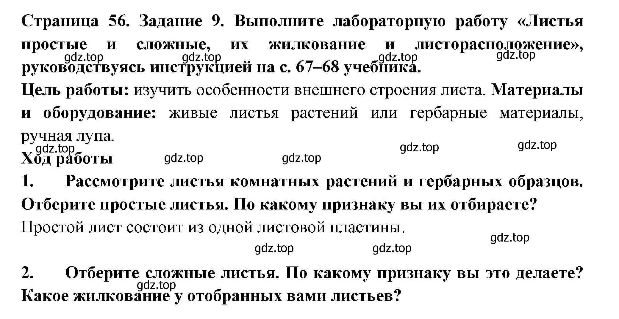 Решение номер 9 (страница 56) гдз по биологии 6 класс Пасечник, Суматохин, рабочая тетрадь