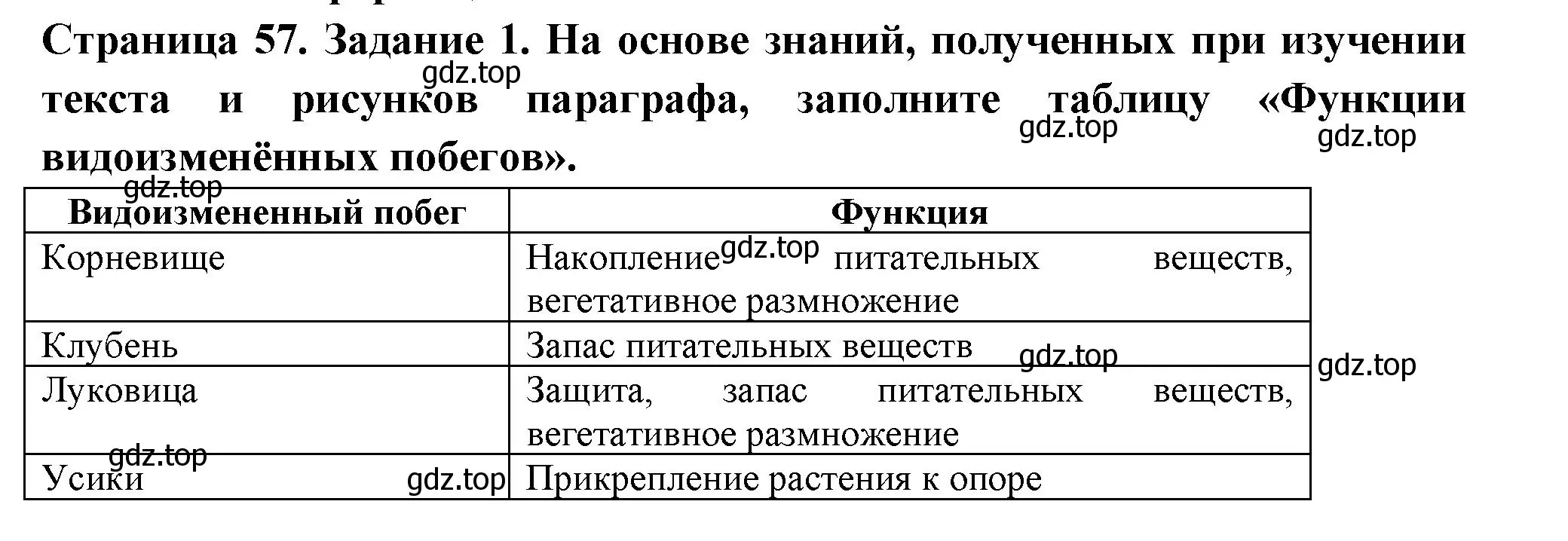 Решение номер 1 (страница 57) гдз по биологии 6 класс Пасечник, Суматохин, рабочая тетрадь