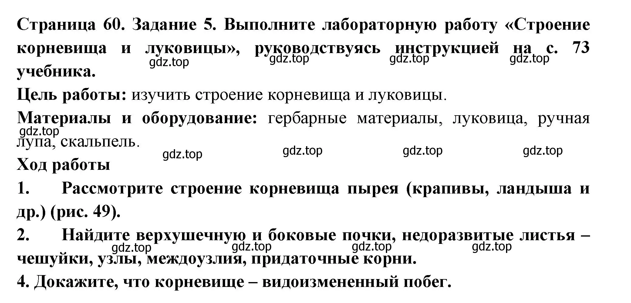 Решение номер 5 (страница 60) гдз по биологии 6 класс Пасечник, Суматохин, рабочая тетрадь