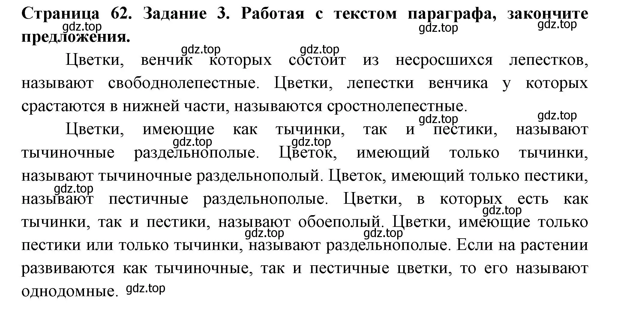 Решение номер 3 (страница 62) гдз по биологии 6 класс Пасечник, Суматохин, рабочая тетрадь