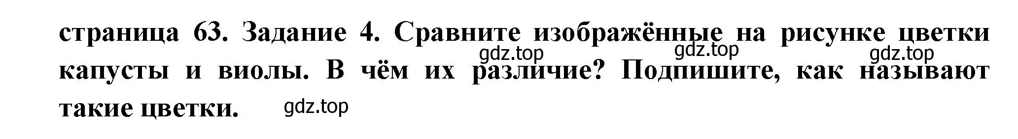 Решение номер 4 (страница 63) гдз по биологии 6 класс Пасечник, Суматохин, рабочая тетрадь