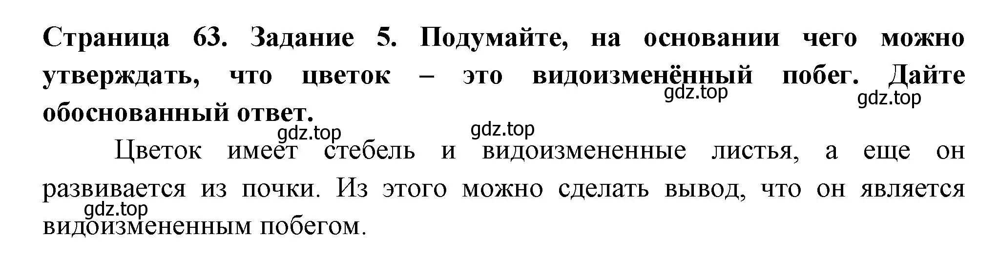 Решение номер 5 (страница 63) гдз по биологии 6 класс Пасечник, Суматохин, рабочая тетрадь