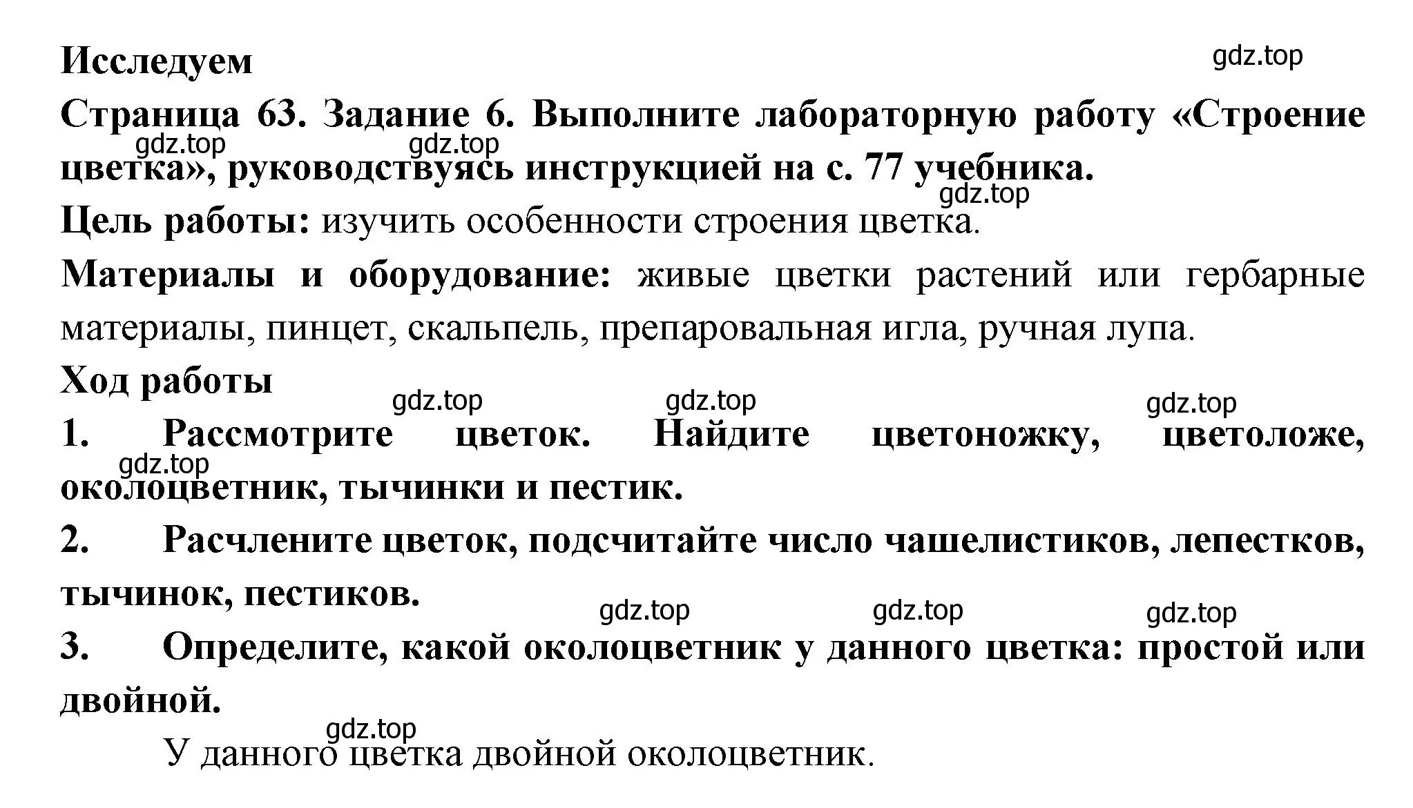 Решение номер 6 (страница 63) гдз по биологии 6 класс Пасечник, Суматохин, рабочая тетрадь