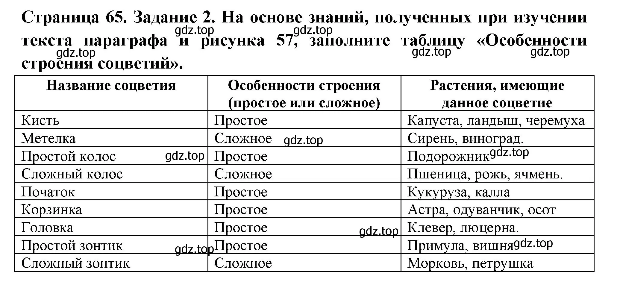 Решение номер 2 (страница 65) гдз по биологии 6 класс Пасечник, Суматохин, рабочая тетрадь