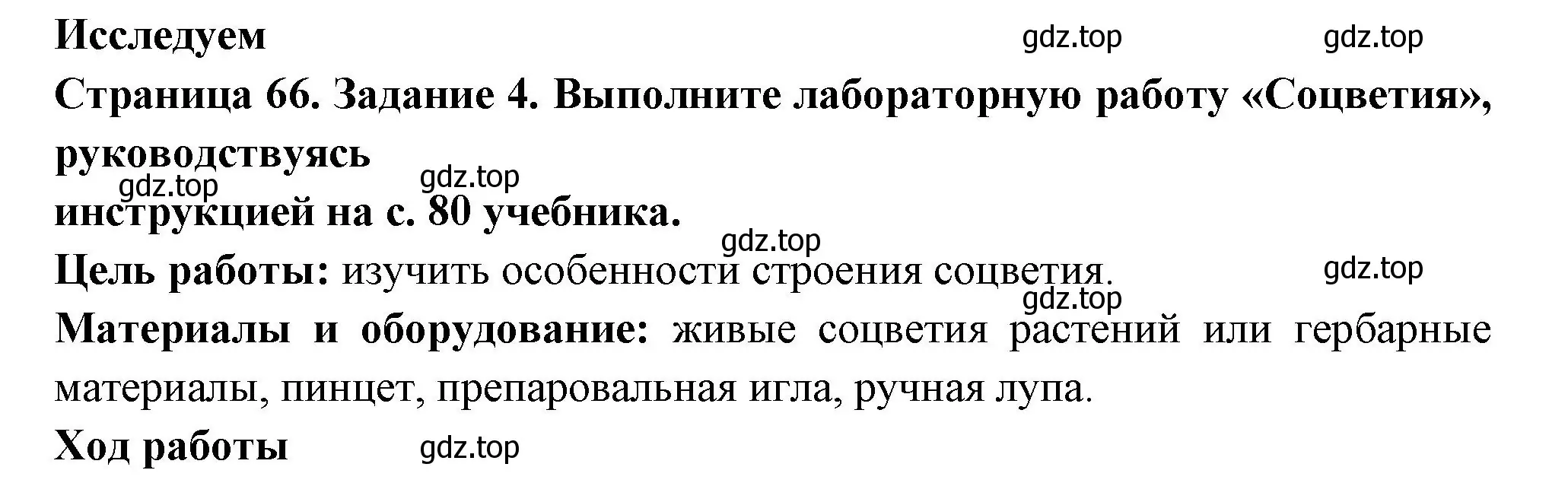 Решение номер 4 (страница 66) гдз по биологии 6 класс Пасечник, Суматохин, рабочая тетрадь