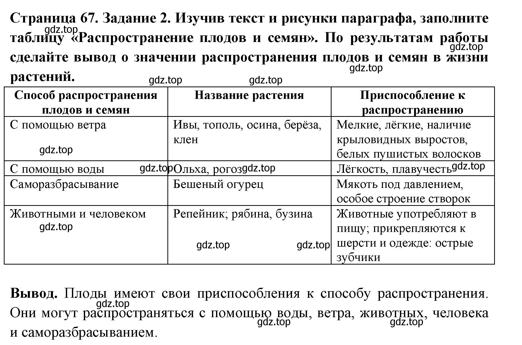 Решение номер 2 (страница 67) гдз по биологии 6 класс Пасечник, Суматохин, рабочая тетрадь