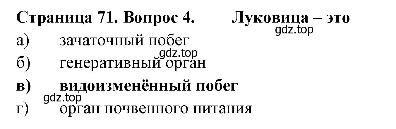 Решение номер 4 (страница 71) гдз по биологии 6 класс Пасечник, Суматохин, рабочая тетрадь