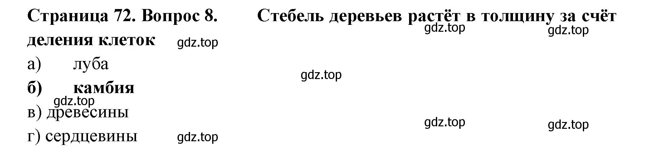 Решение номер 8 (страница 72) гдз по биологии 6 класс Пасечник, Суматохин, рабочая тетрадь