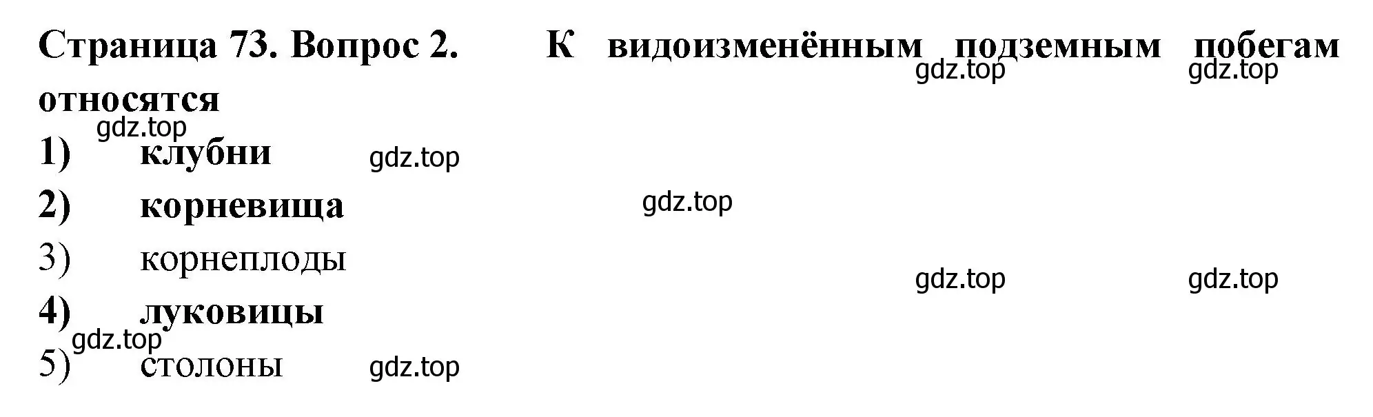 Решение номер 2 (страница 73) гдз по биологии 6 класс Пасечник, Суматохин, рабочая тетрадь