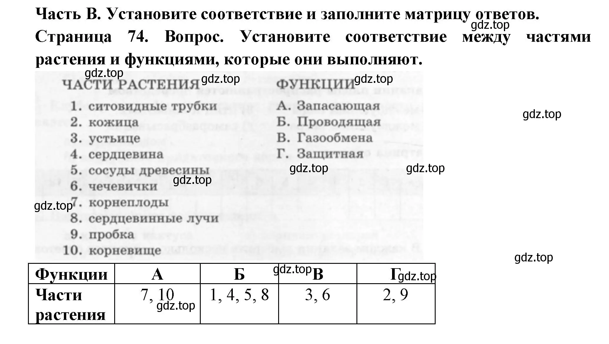 Решение номер 1 (страница 74) гдз по биологии 6 класс Пасечник, Суматохин, рабочая тетрадь