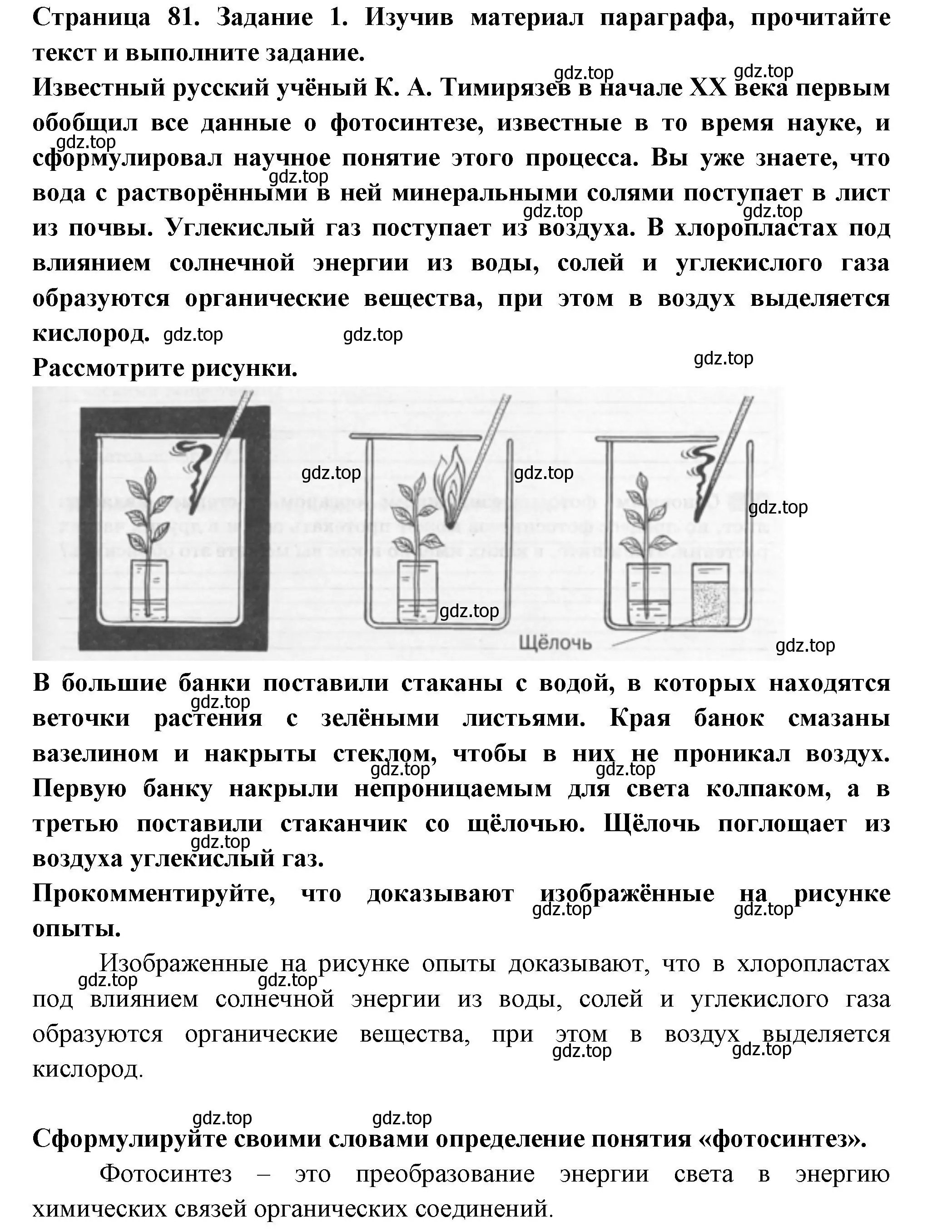 Решение номер 1 (страница 81) гдз по биологии 6 класс Пасечник, Суматохин, рабочая тетрадь