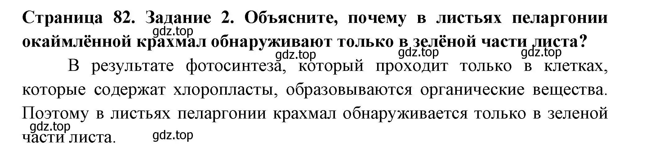 Решение номер 2 (страница 82) гдз по биологии 6 класс Пасечник, Суматохин, рабочая тетрадь