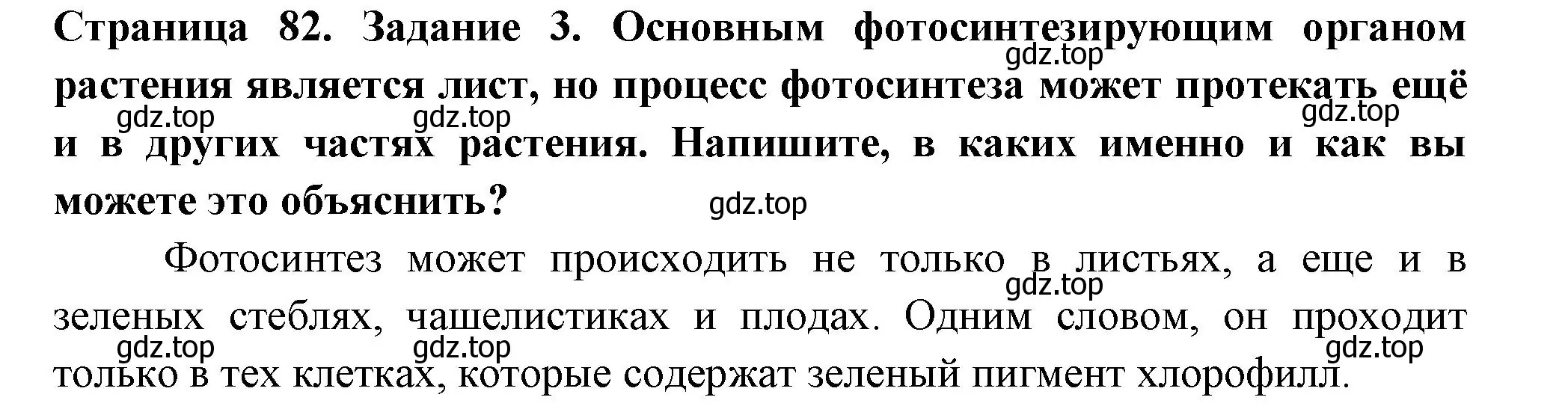 Решение номер 3 (страница 82) гдз по биологии 6 класс Пасечник, Суматохин, рабочая тетрадь