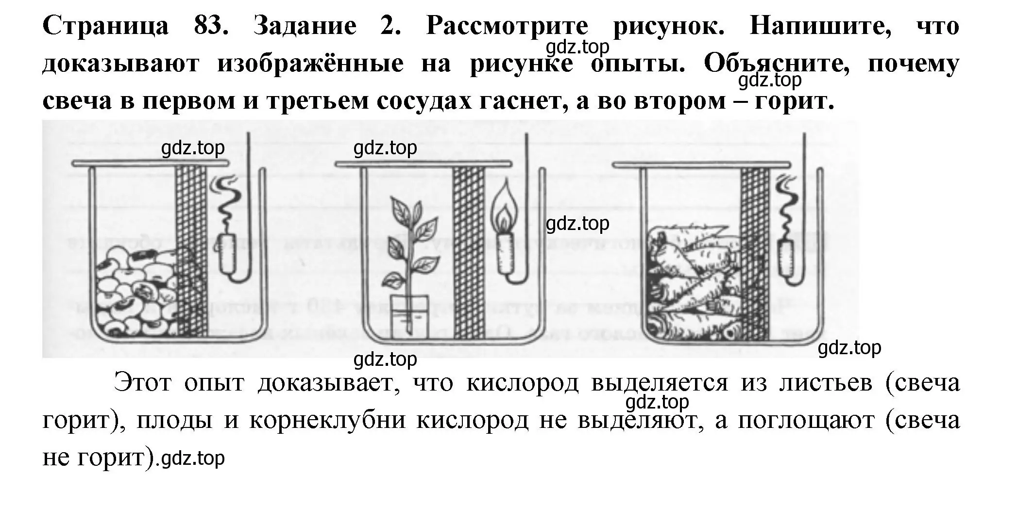 Решение номер 2 (страница 83) гдз по биологии 6 класс Пасечник, Суматохин, рабочая тетрадь