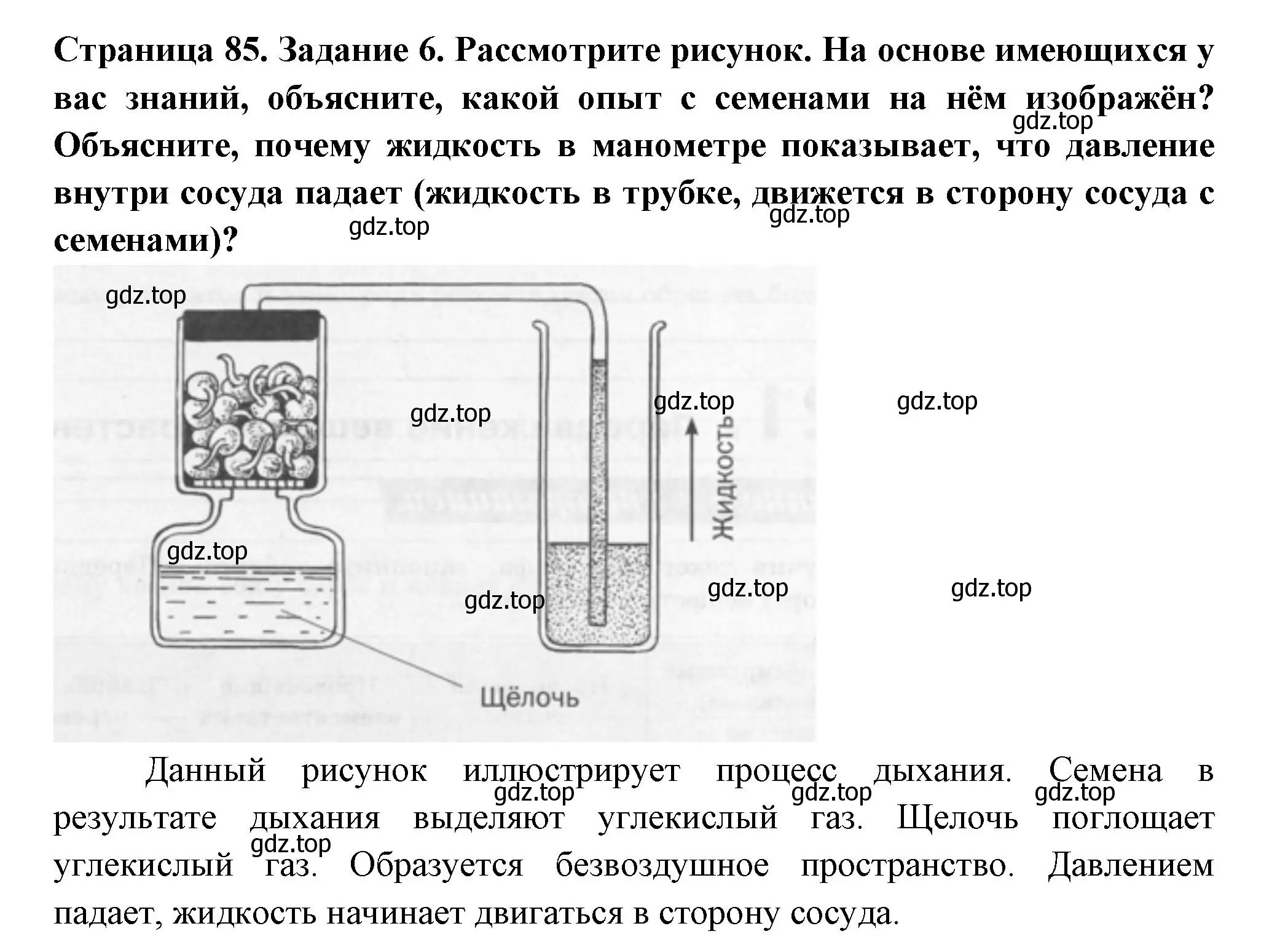 Решение номер 6 (страница 85) гдз по биологии 6 класс Пасечник, Суматохин, рабочая тетрадь