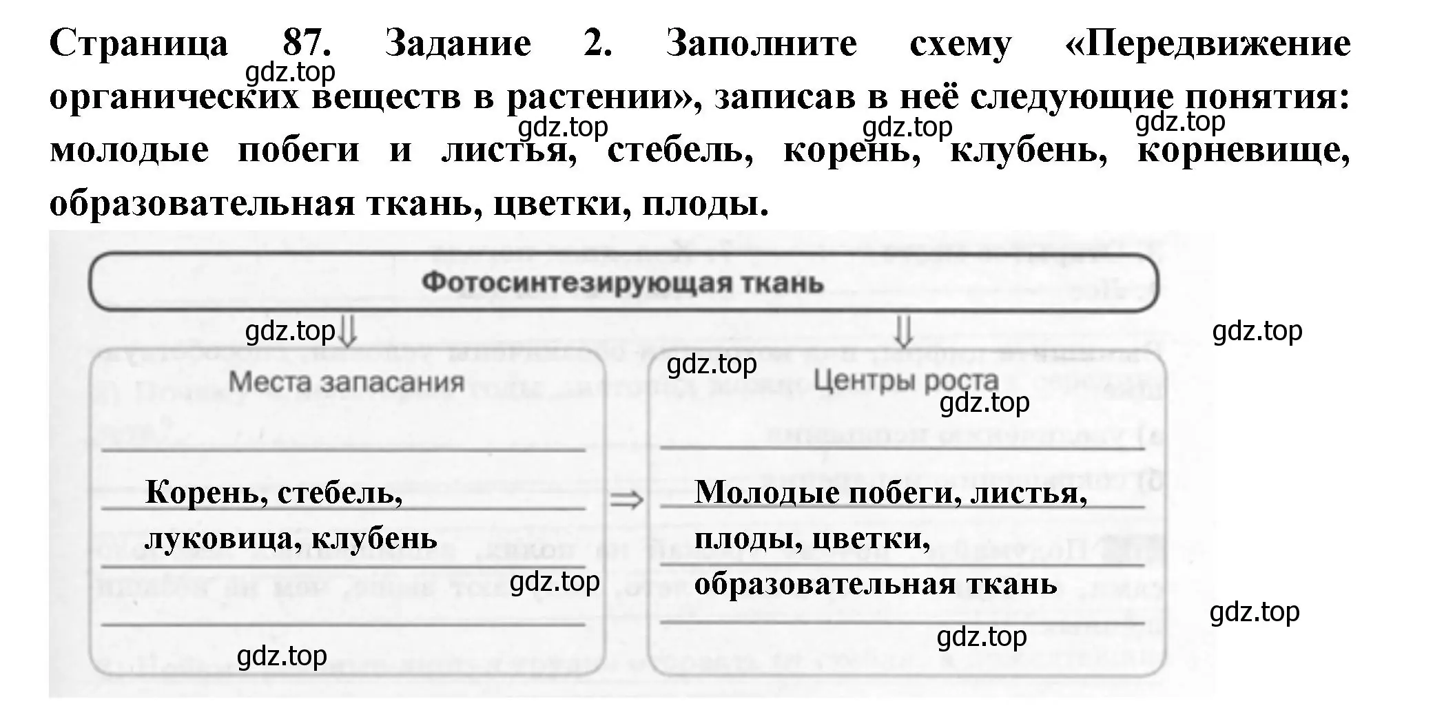 Решение номер 2 (страница 87) гдз по биологии 6 класс Пасечник, Суматохин, рабочая тетрадь