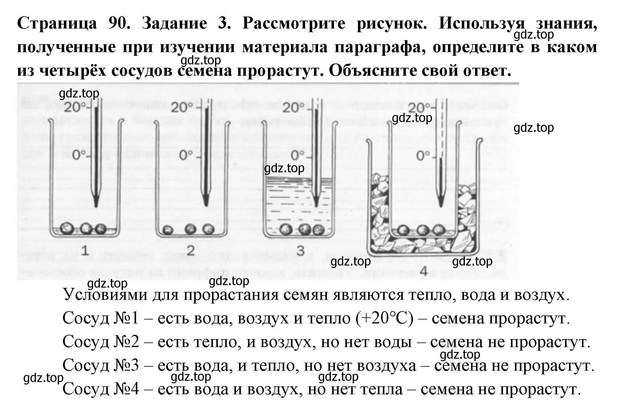 Решение номер 3 (страница 90) гдз по биологии 6 класс Пасечник, Суматохин, рабочая тетрадь