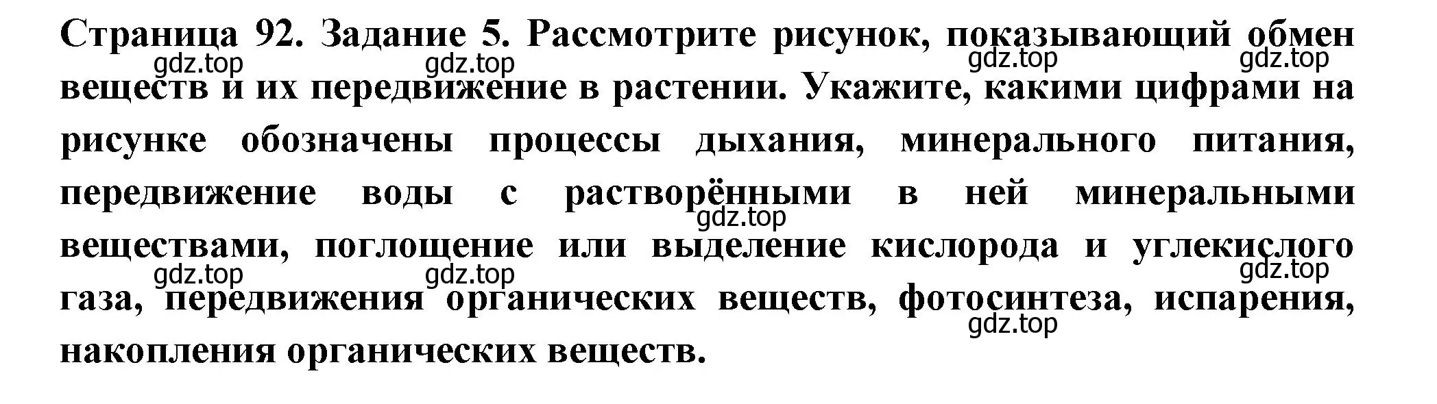 Решение номер 6 (страница 92) гдз по биологии 6 класс Пасечник, Суматохин, рабочая тетрадь