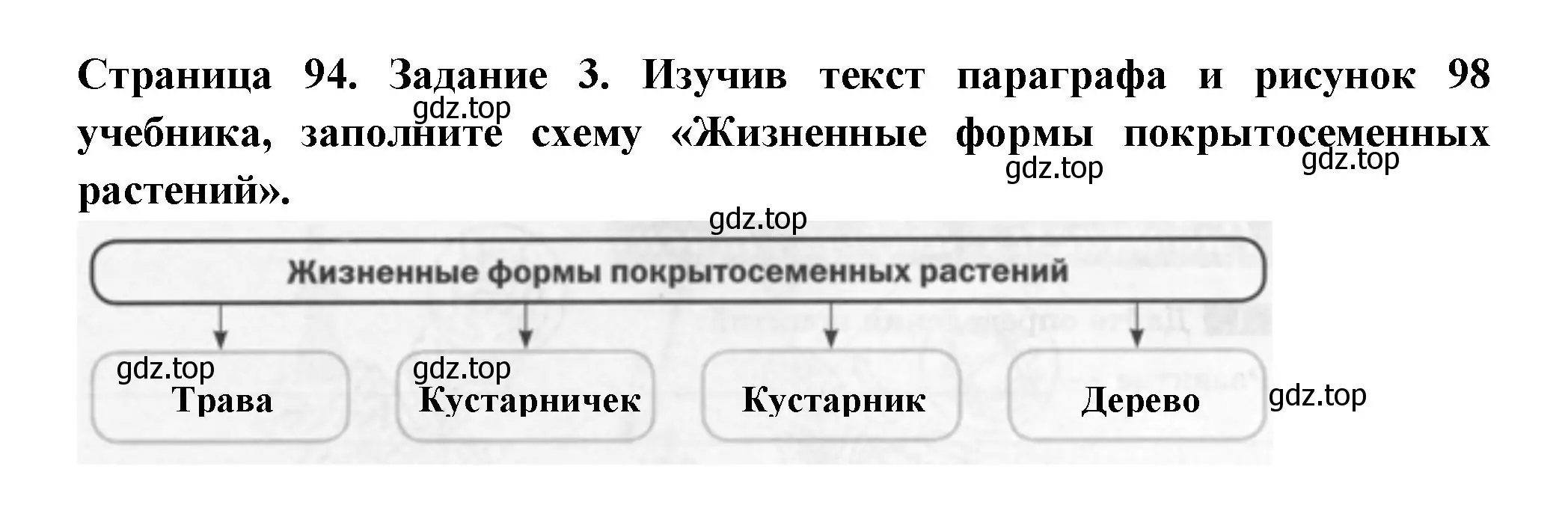 Решение номер 3 (страница 94) гдз по биологии 6 класс Пасечник, Суматохин, рабочая тетрадь