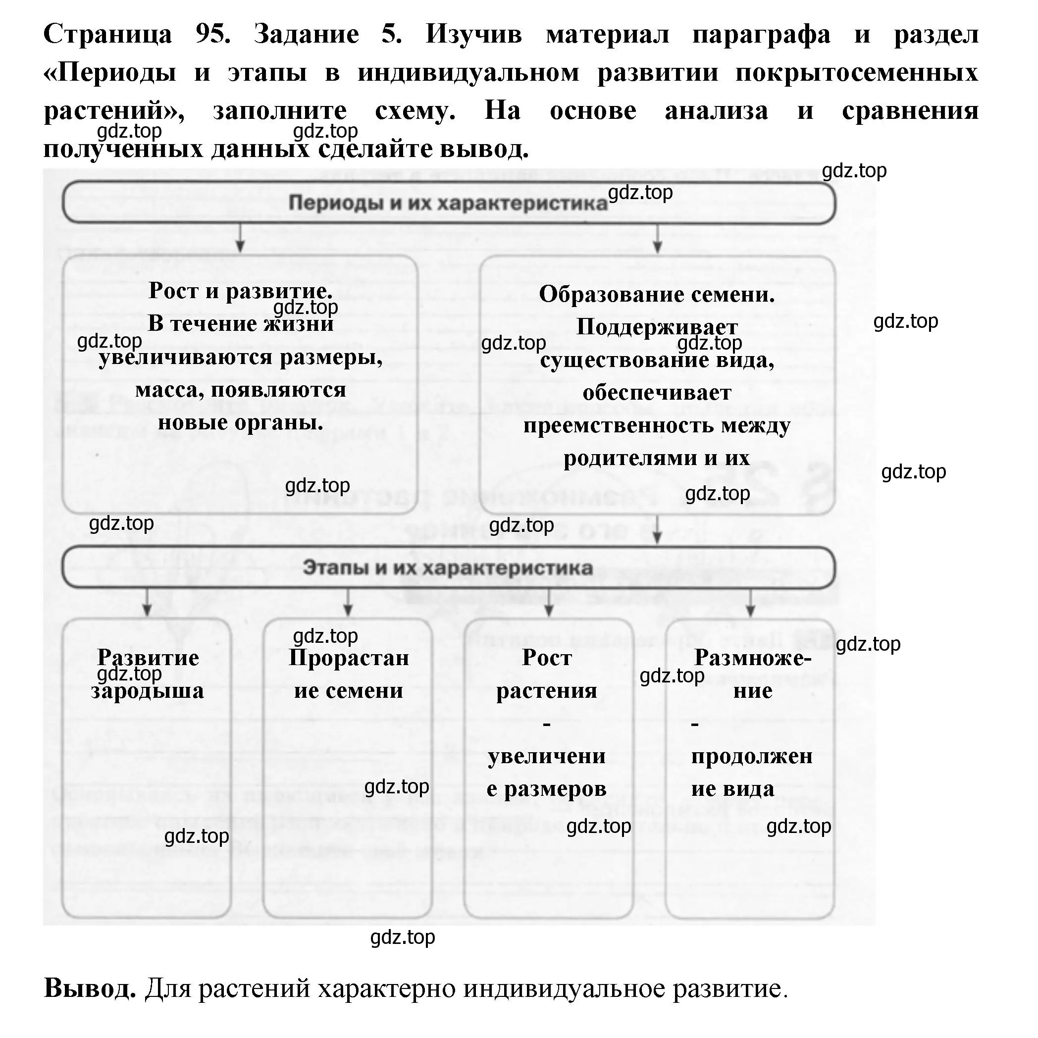 Решение номер 5 (страница 95) гдз по биологии 6 класс Пасечник, Суматохин, рабочая тетрадь