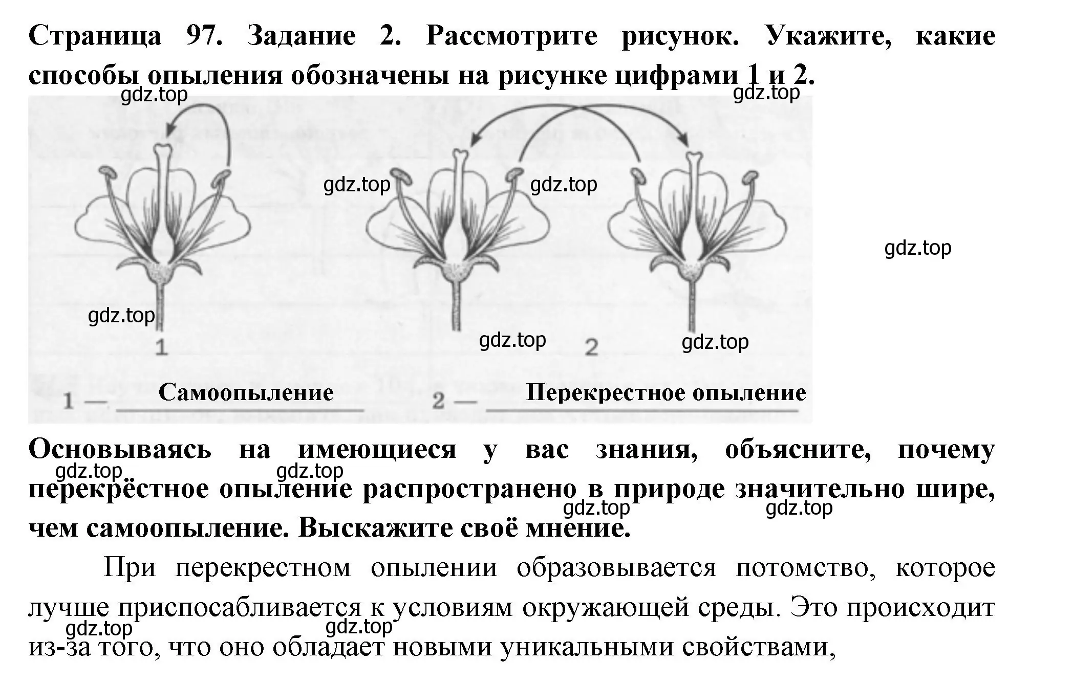 Решение номер 2 (страница 97) гдз по биологии 6 класс Пасечник, Суматохин, рабочая тетрадь