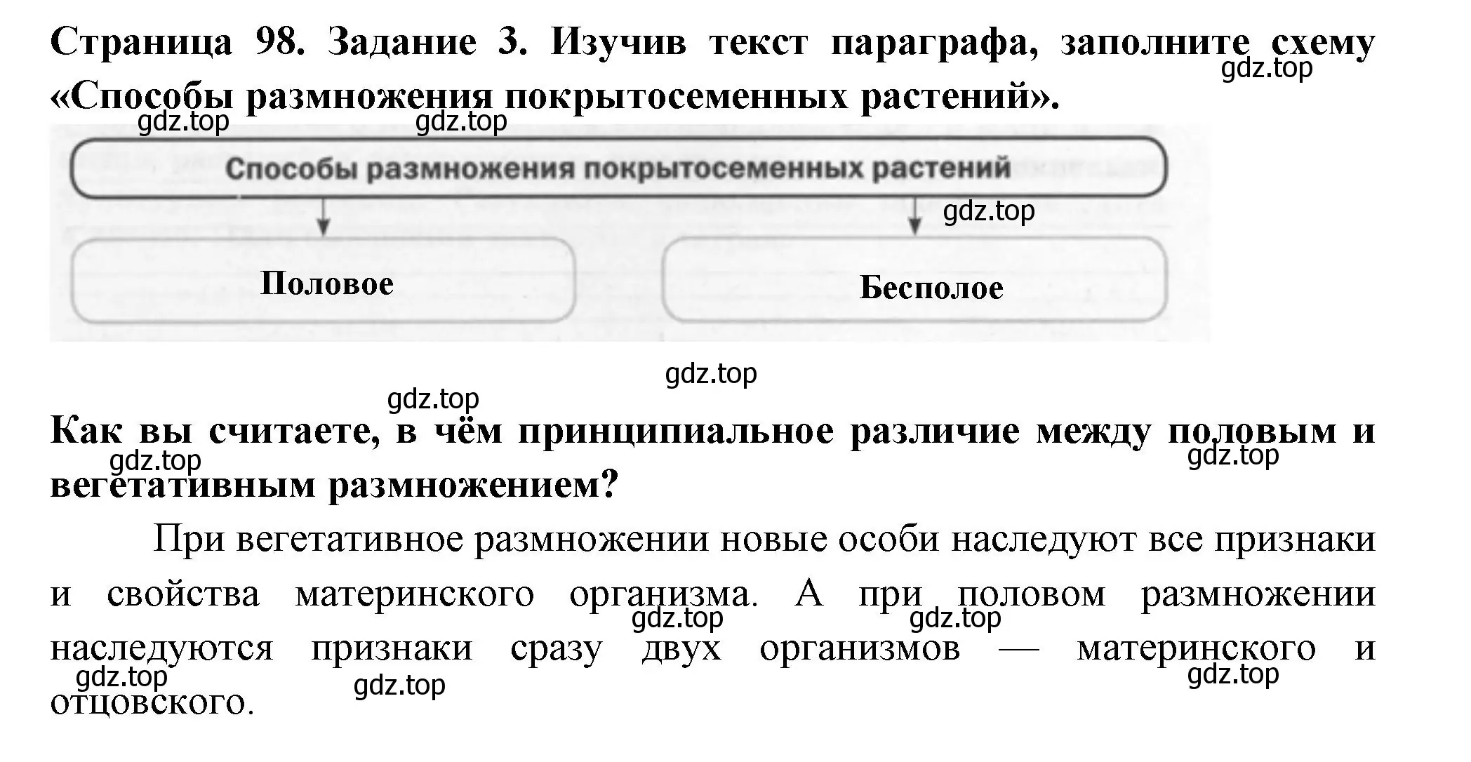 Решение номер 3 (страница 98) гдз по биологии 6 класс Пасечник, Суматохин, рабочая тетрадь