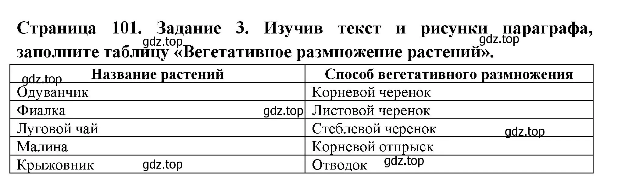 Решение номер 3 (страница 101) гдз по биологии 6 класс Пасечник, Суматохин, рабочая тетрадь