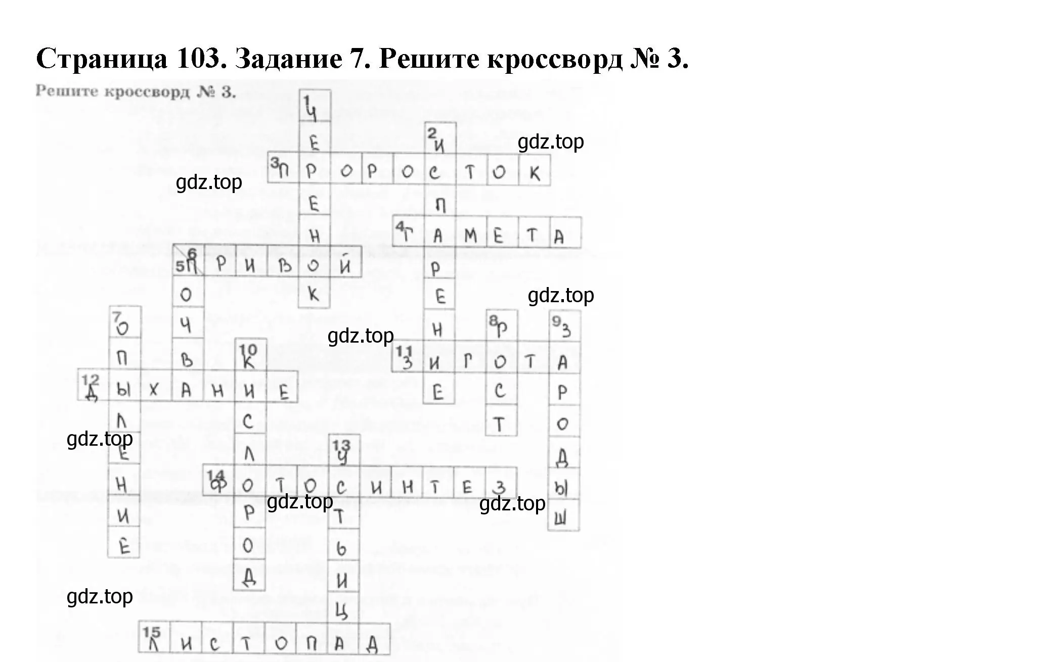 Решение номер 7 (страница 103) гдз по биологии 6 класс Пасечник, Суматохин, рабочая тетрадь