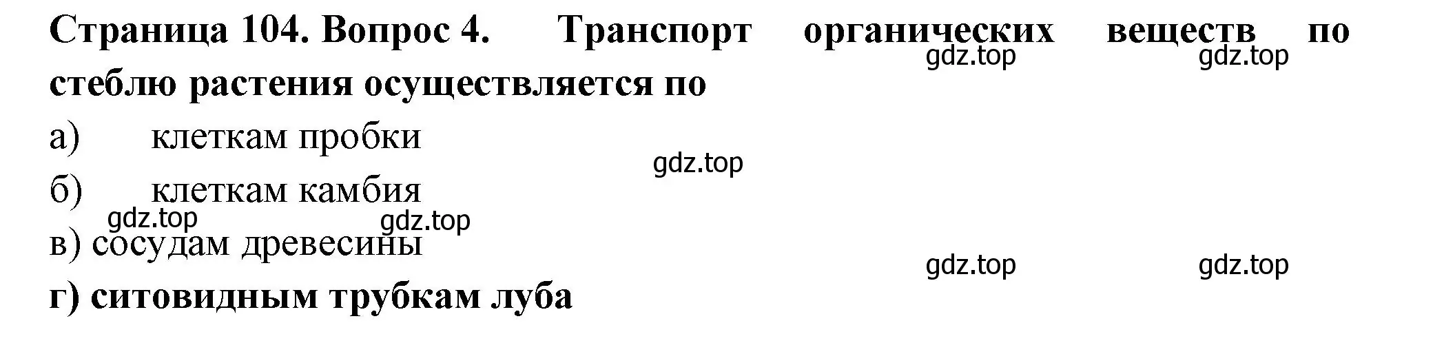 Решение номер 4 (страница 104) гдз по биологии 6 класс Пасечник, Суматохин, рабочая тетрадь