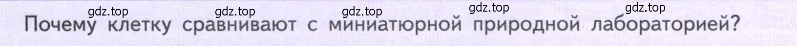 Условие  Подумайте! (страница 24) гдз по биологии 6 класс Пасечник, Суматохин, учебник