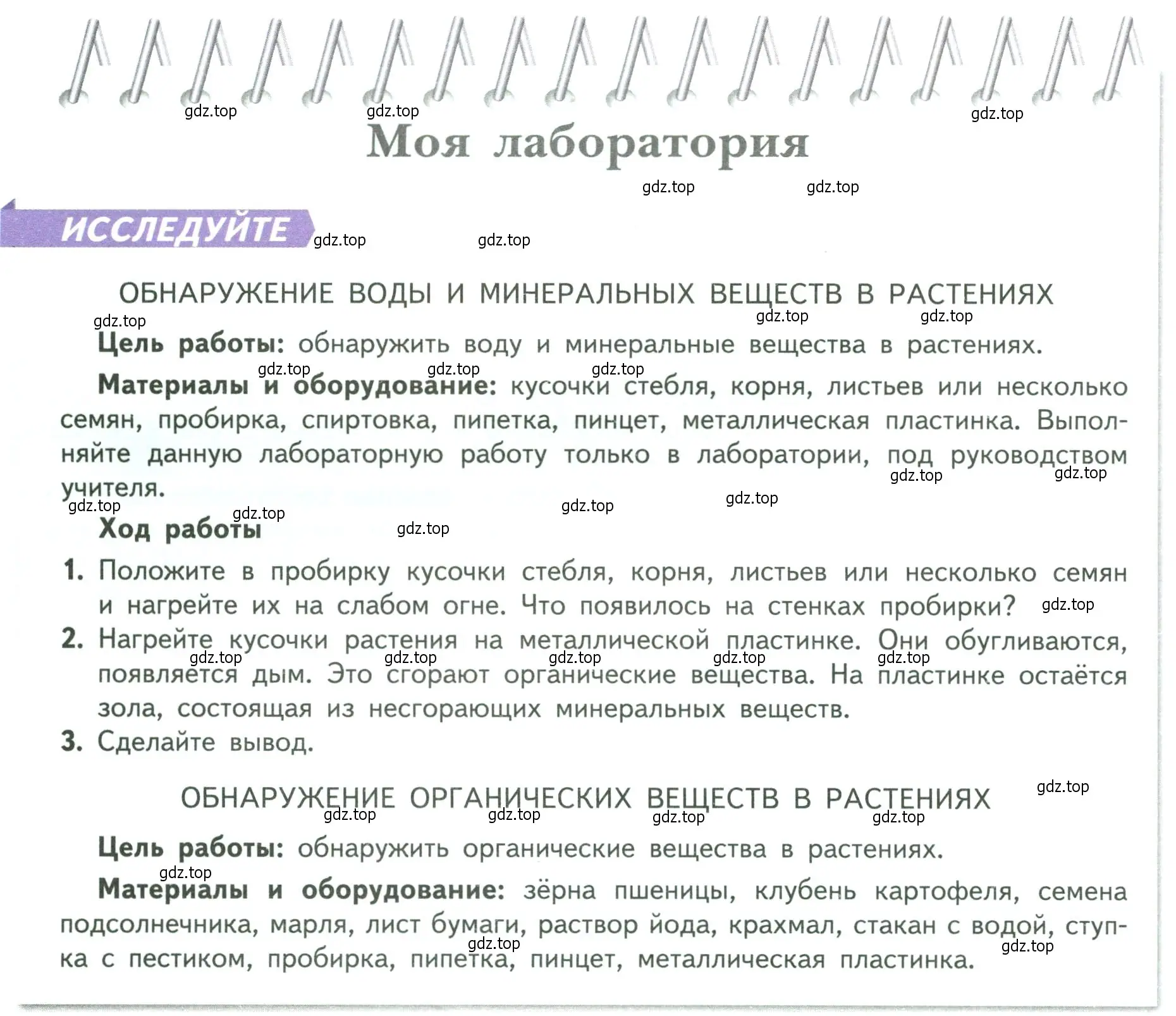 Условие  Моя лаборатория (страница 24) гдз по биологии 6 класс Пасечник, Суматохин, учебник