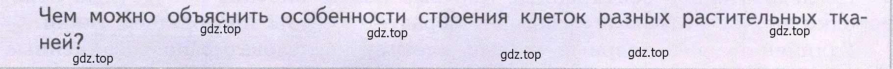 Условие  Подумайте! (страница 32) гдз по биологии 6 класс Пасечник, Суматохин, учебник