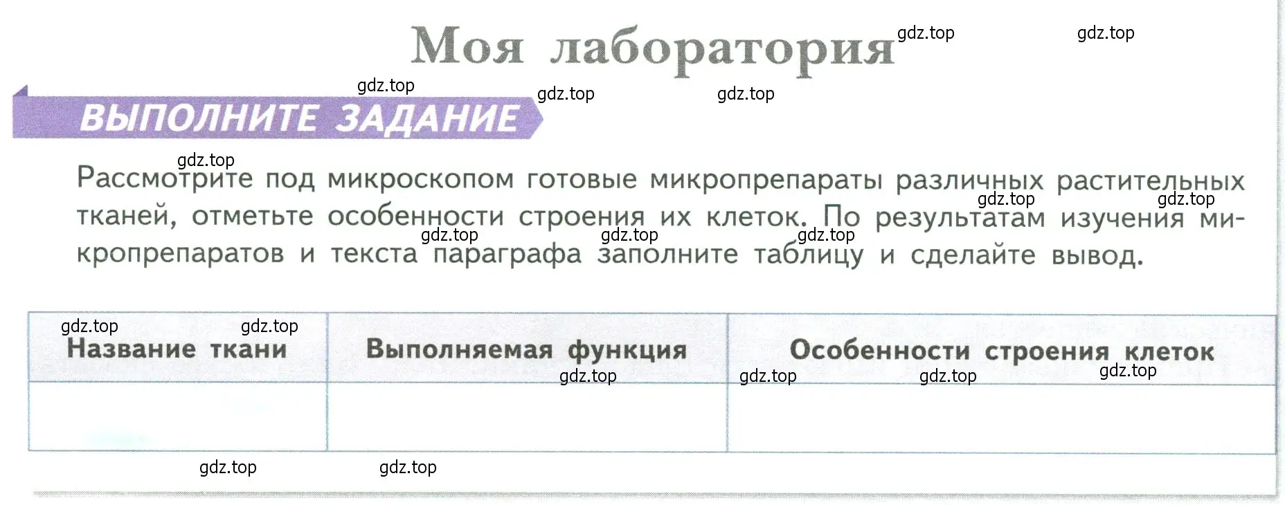 Условие  Моя лаборатория (страница 32) гдз по биологии 6 класс Пасечник, Суматохин, учебник