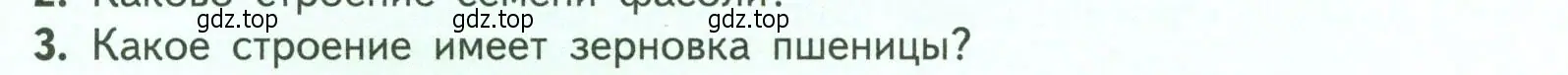 Условие номер 3 (страница 41) гдз по биологии 6 класс Пасечник, Суматохин, учебник