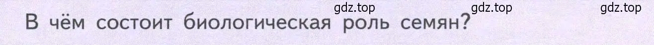 Условие  Подумайте! (страница 41) гдз по биологии 6 класс Пасечник, Суматохин, учебник