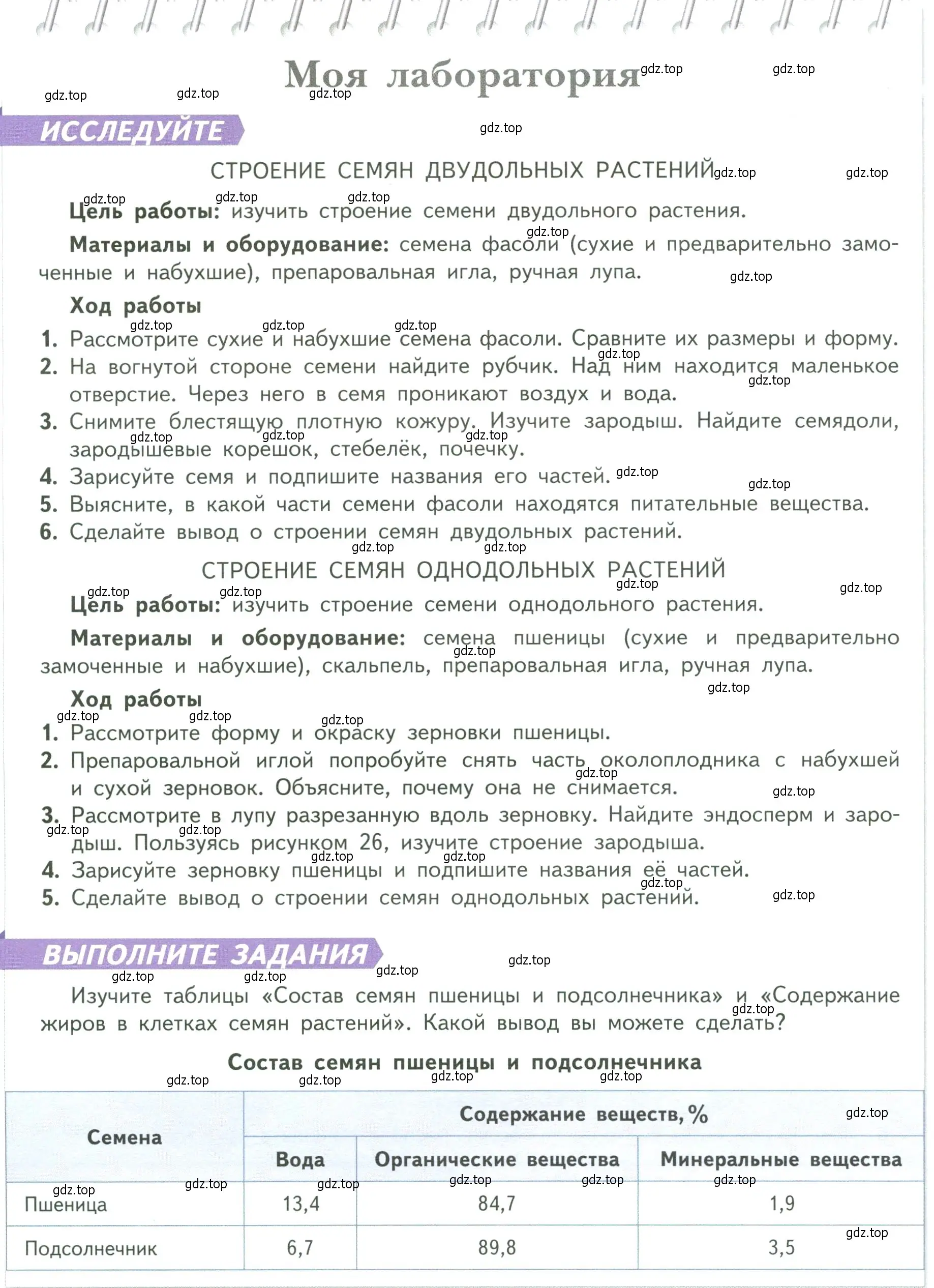 Условие  Моя лаборатория (страница 42) гдз по биологии 6 класс Пасечник, Суматохин, учебник