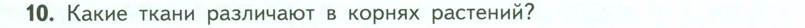 Условие номер 10 (страница 46) гдз по биологии 6 класс Пасечник, Суматохин, учебник