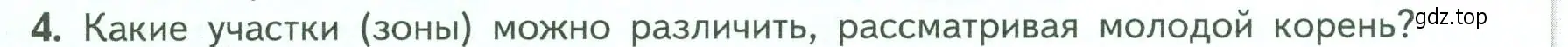 Условие номер 4 (страница 46) гдз по биологии 6 класс Пасечник, Суматохин, учебник