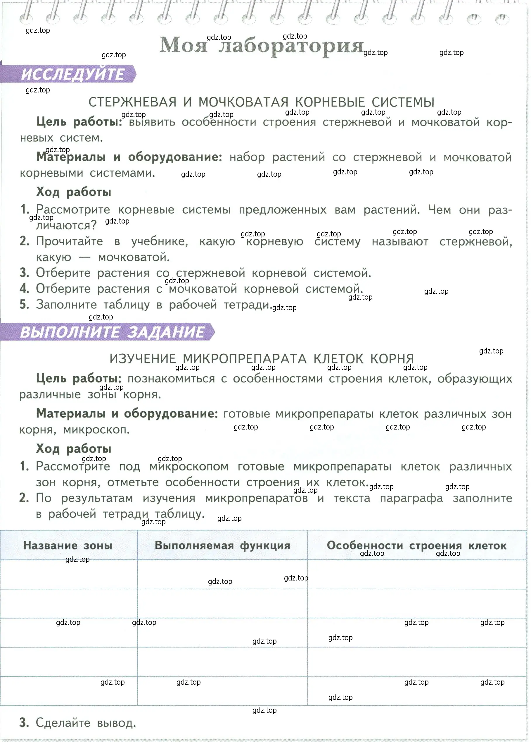 Условие  Моя лаборатория (страница 47) гдз по биологии 6 класс Пасечник, Суматохин, учебник