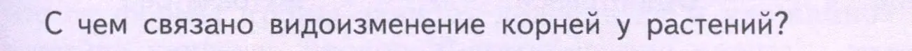 Условие  Подумайте! (страница 51) гдз по биологии 6 класс Пасечник, Суматохин, учебник